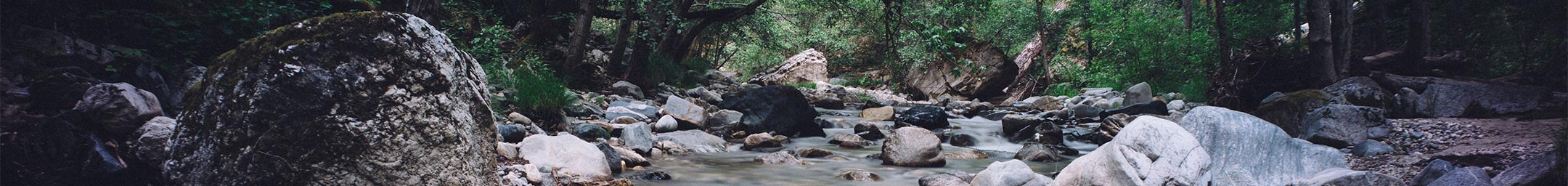 Stream
